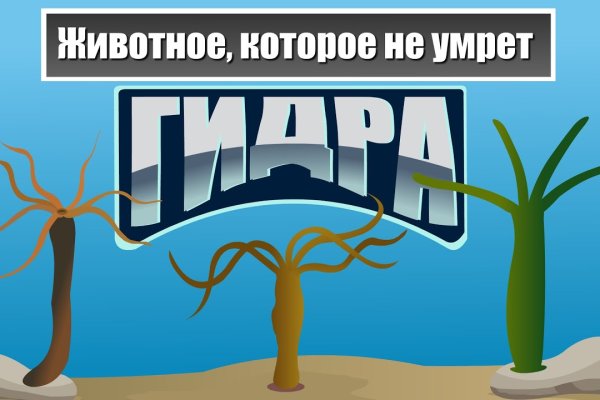 Кракен даркнет store