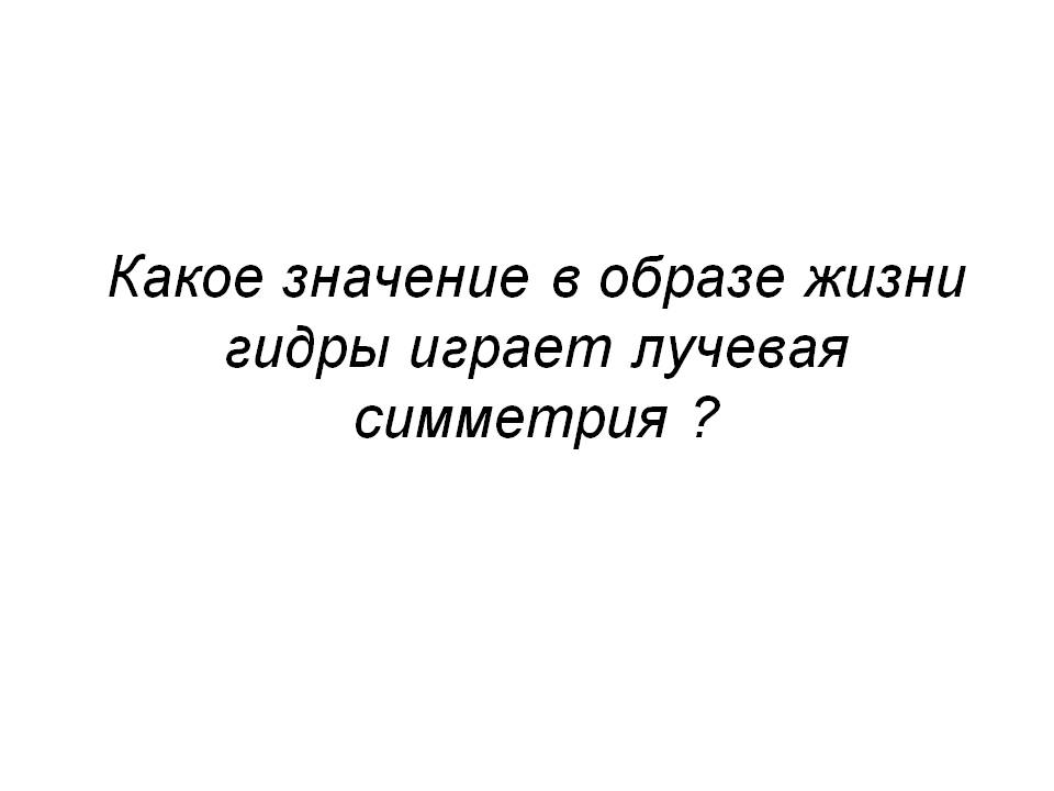 Кракен даркнет krawebes